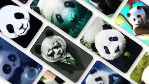 Panda Wallpaper 2023 Screenshot 0