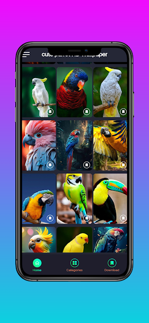 cute parrots HD wallpapers Screenshot 3