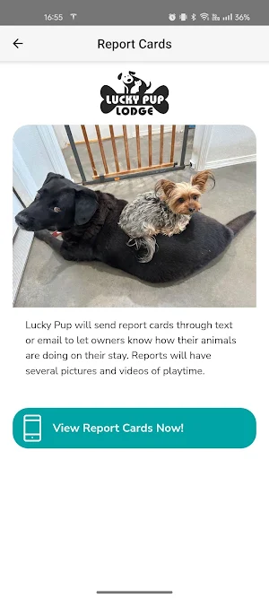 Lucky Pup Lodge Screenshot 3