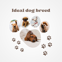 Ideal dog breed