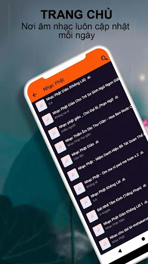 Album Nhạc Phật - Đón Xuân Screenshot 0