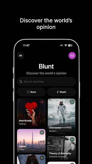Blunt Screenshot 0