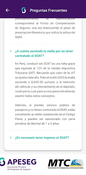 Consulta SOAT Screenshot 2