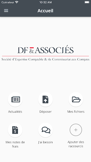 DF & Associés Screenshot 0