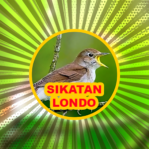Kicau Burung: Sikatan Londo Screenshot 2