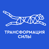 Трансформация силы 2024