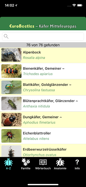 EuroBeetles Screenshot 0
