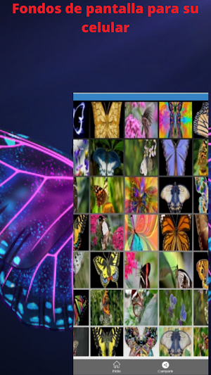 Mariposas hermosas Screenshot 0