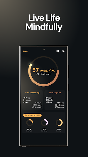 Lifetime Timer: Habits & Goals Screenshot 3