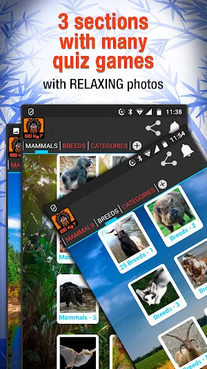 Animal weight Quiz - trivia Screenshot 1