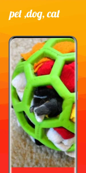 dog toys shopping online Screenshot 2