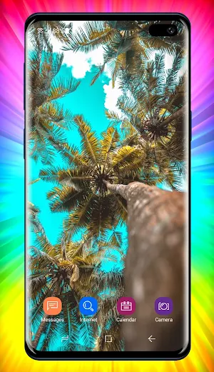 Palm Tree Wallpapers Screenshot 1