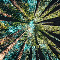 Nature Wallpaper 4K