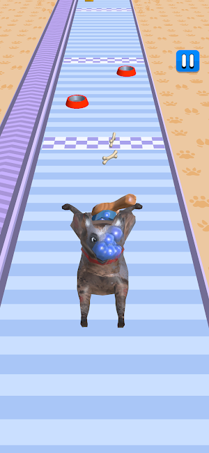 Pet Care Runner Screenshot 0