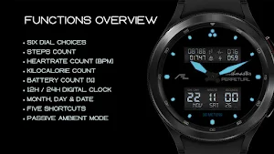 AE HEALTHMASTER [PERPETUAL] Screenshot 2