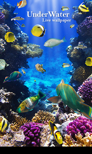 UnderWater Live Wallpaper Screenshot 1