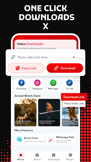 XVX All Video Downloader Screenshot 1