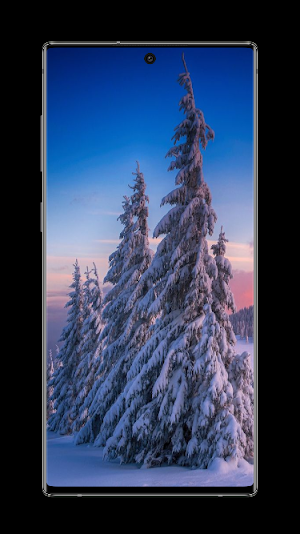 Winter Wallpaper Screenshot 1