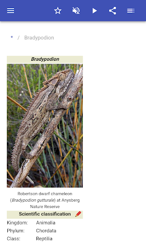 Chameleons Screenshot 1