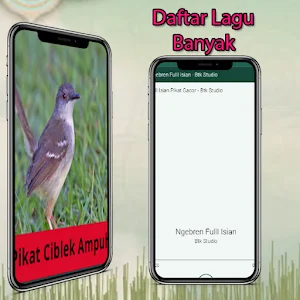 Pikat Burung Ciblek Offline Screenshot 0