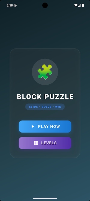 Block Puzzle Screenshot 0