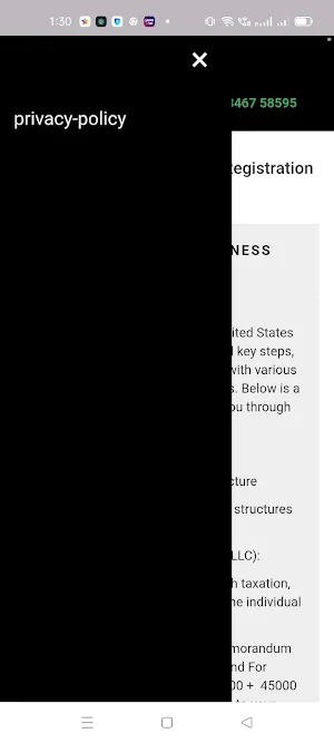 Bss Laws Screenshot 1