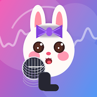 YOYO Voice Cleaner