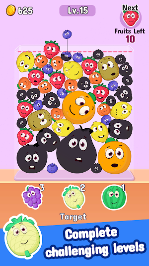 Fruit Drop Merge - Melon Game Screenshot 3