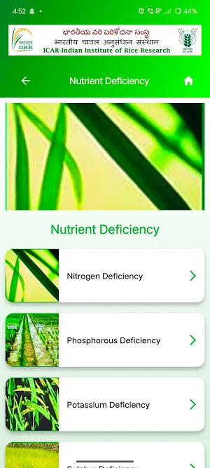 Rice Clinic Screenshot 1