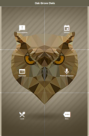 Oak Grove Owls Screenshot 0