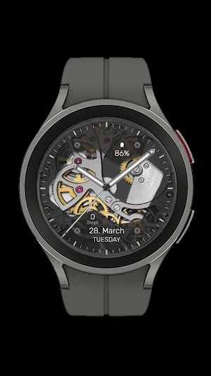 AnKo Design Animated 3.1.T Screenshot 1