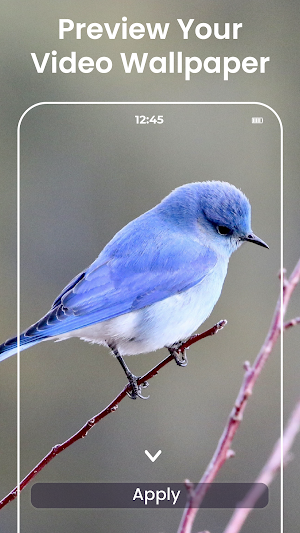 Video Live Wallpaper Maker HD Screenshot 3
