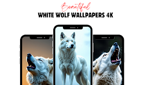 White Wolf Wallpaper Screenshot 0