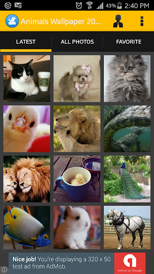 Animals HD Wallpapers 2016 Screenshot 2