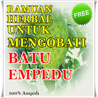 Ramuan Herbal Batu Empedu Dan Cara Mengobati Nya