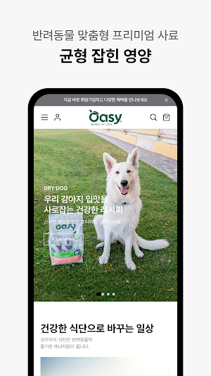 OAJI KOREA Screenshot 2