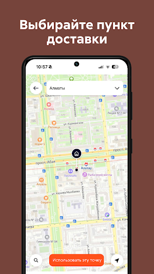 Palaushy Screenshot 3