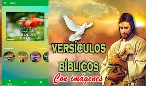 Versículos bíblicos Screenshot 0