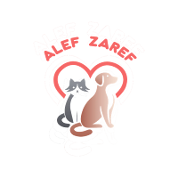 Alef Zaref: Pet Caregiver