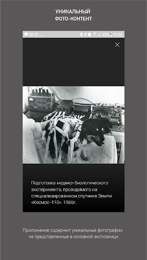 Иду в музей Screenshot 1