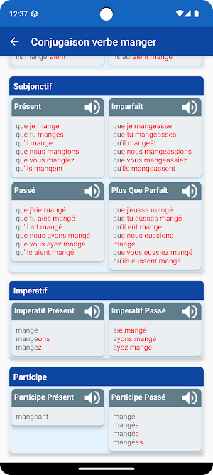 French Verb Conjugation Screenshot 3