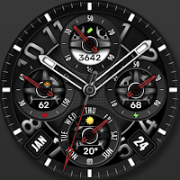 WFP 344 Elegant watch face