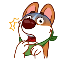 Animal Stickers and GIFs