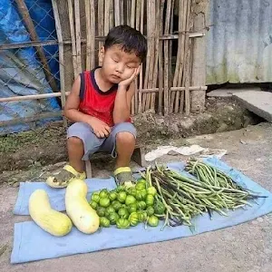 Super funny pictures Screenshot 2