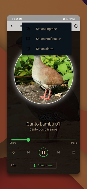 Som de Canto Lambu Screenshot 3