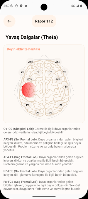Auto Train Brain Pro Screenshot 3