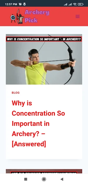 Archery Pick Screenshot 3