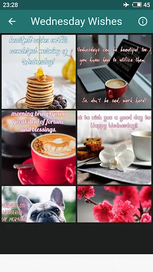 Everyday Morning Wishes Screenshot 2