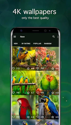 Parrot Wallpapers 4K Screenshot 0