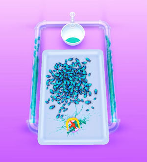Smash Insects Screenshot 2